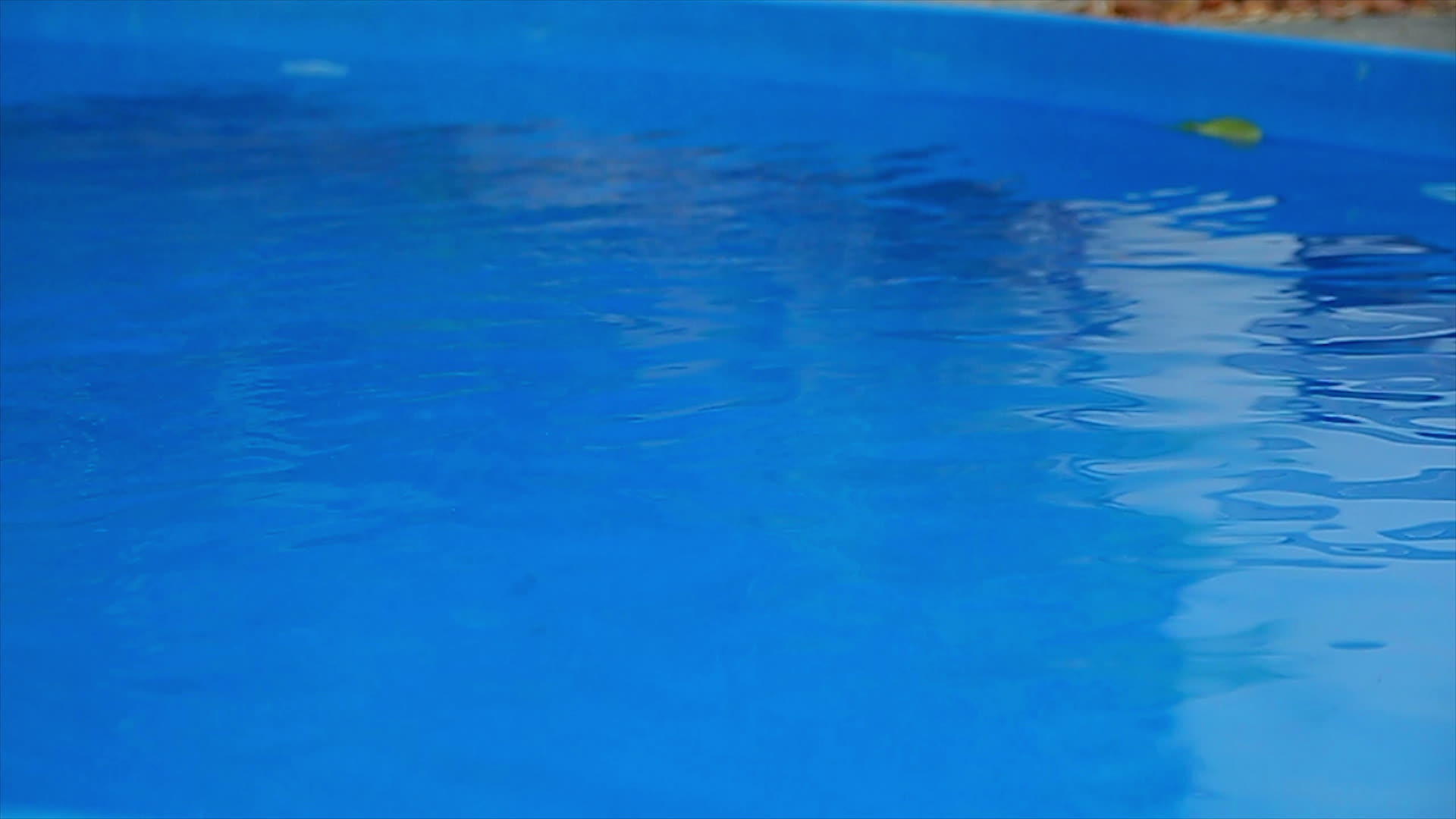 游泳池水视频的预览图