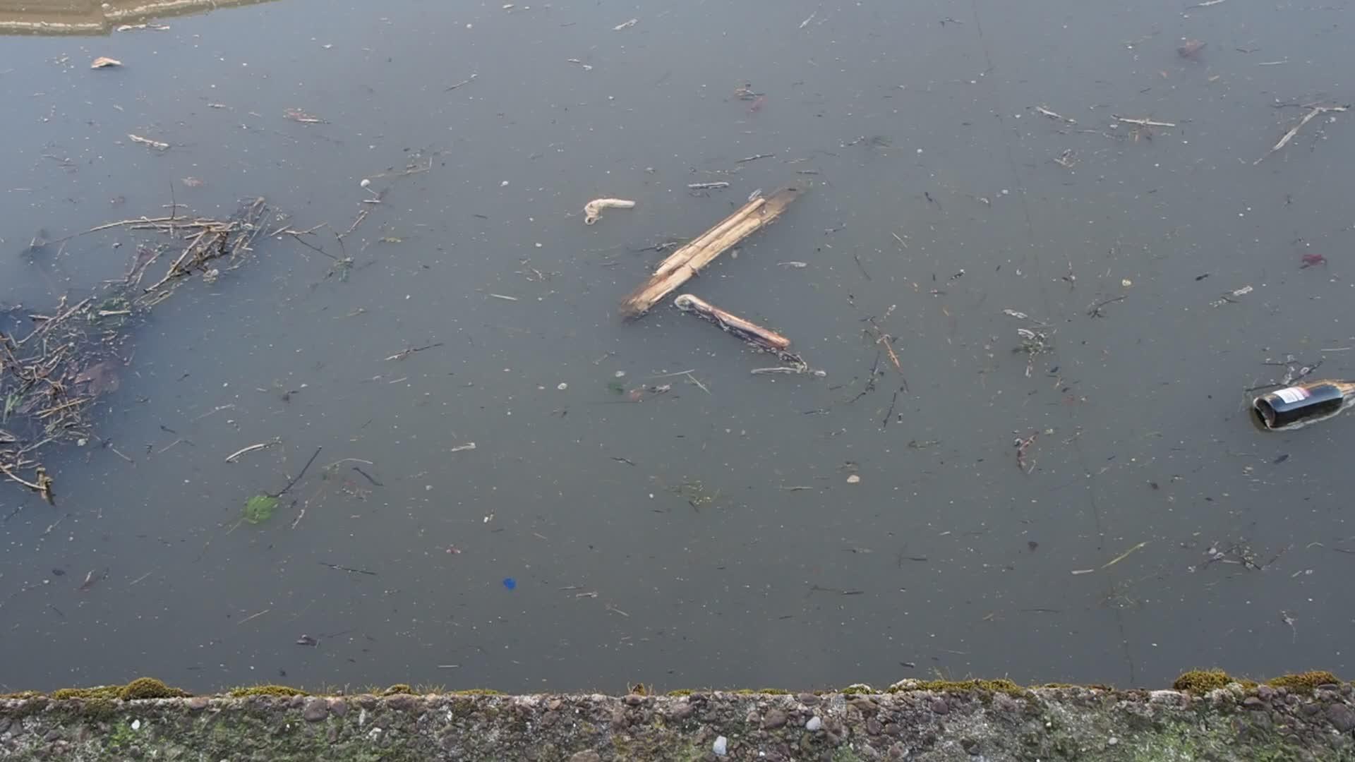水河污染视频的预览图