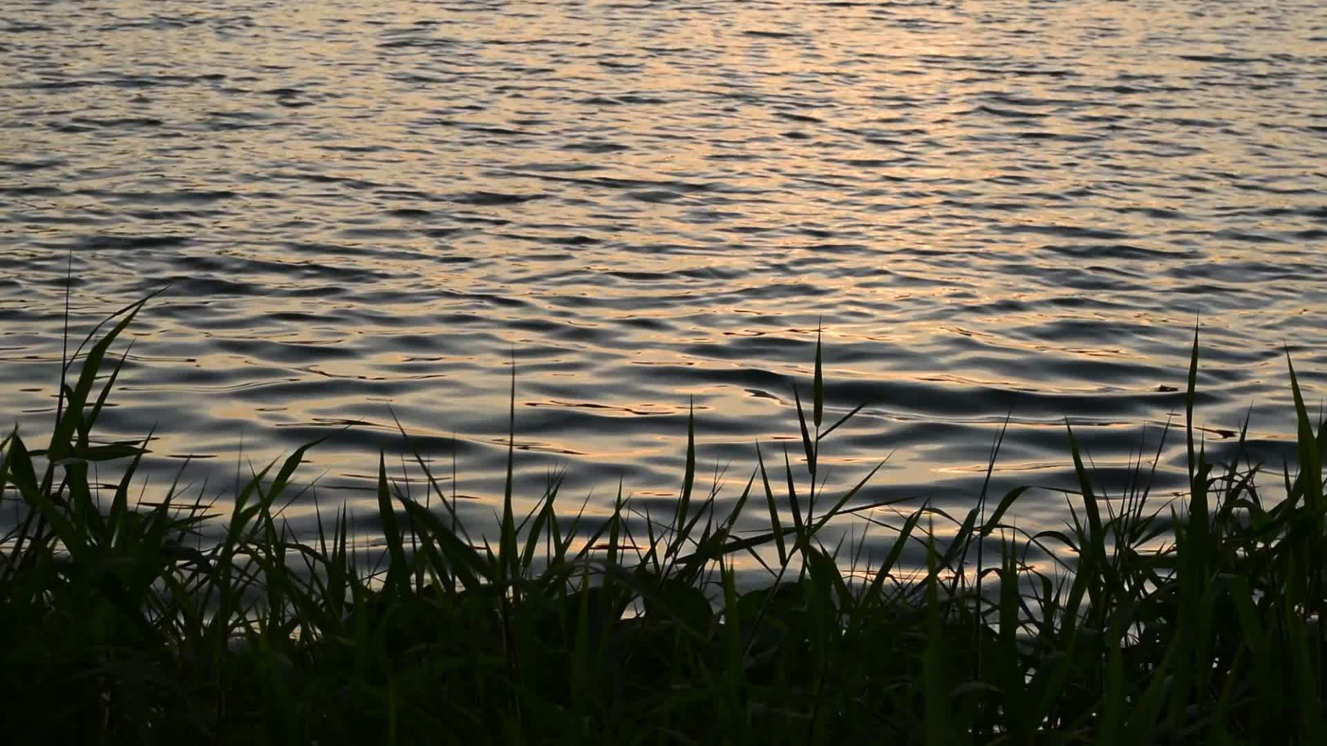 晚上日落和湖浪视频的预览图