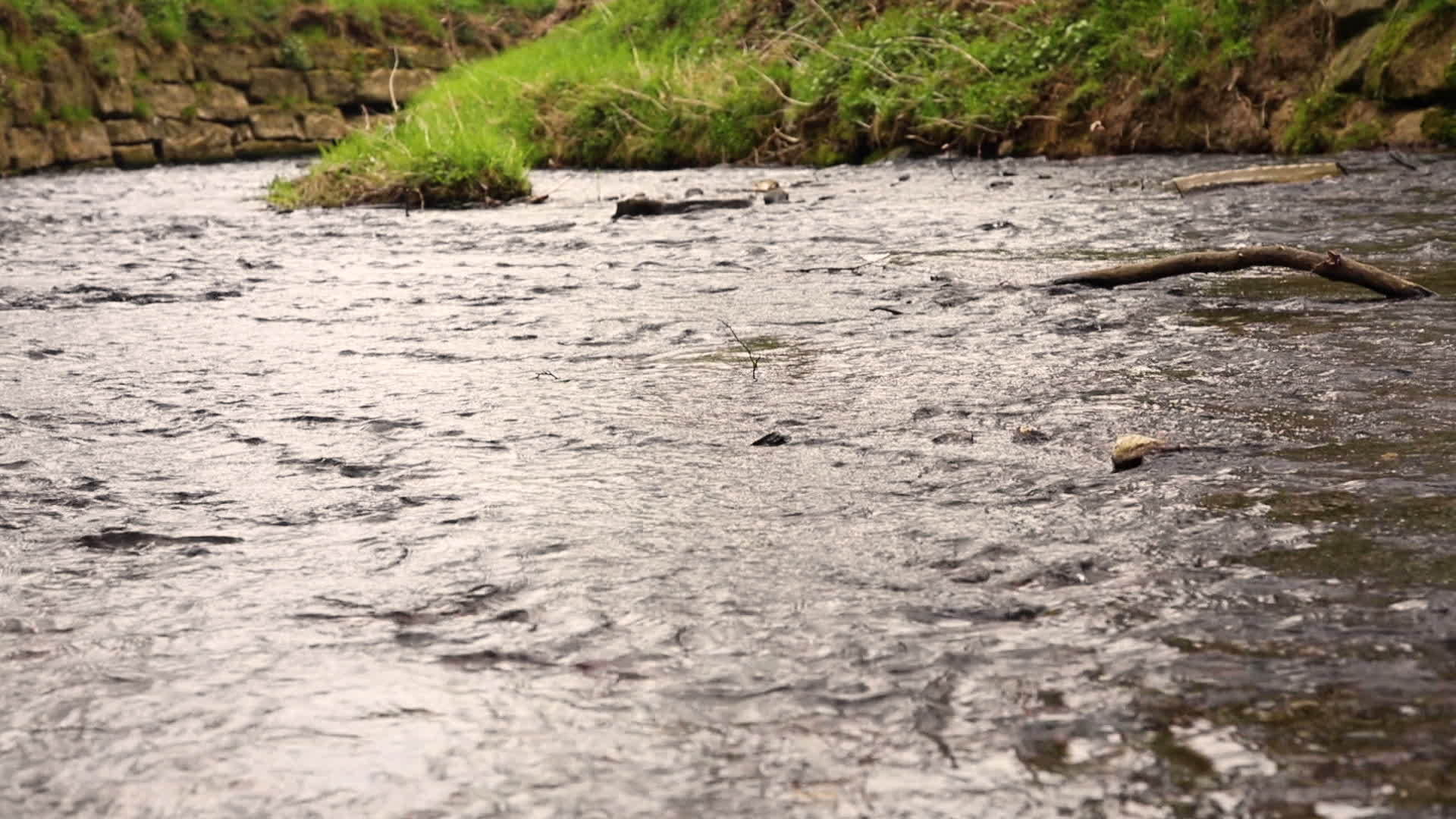填充河床的低水位记录点视频的预览图