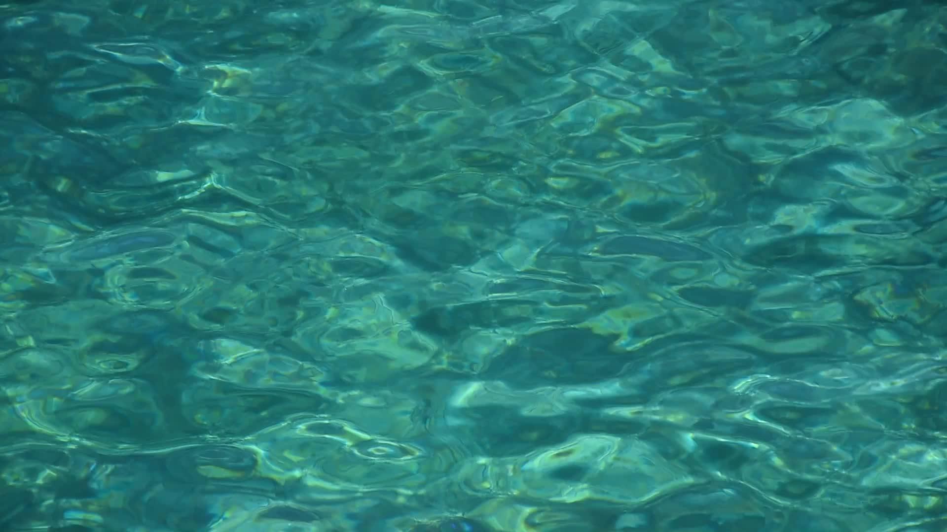 绿色的海洋波纹流在水面上视频的预览图