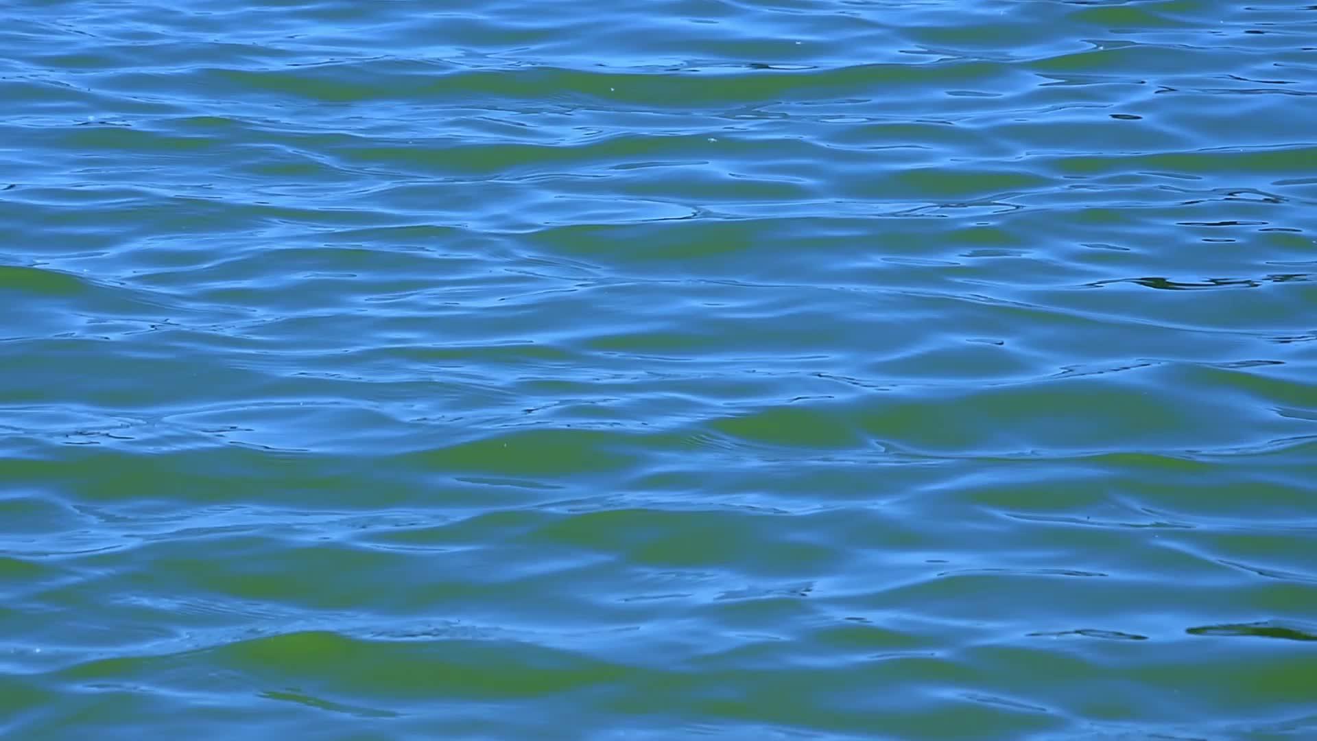 蓝色的水面上有波浪和波浪视频的预览图