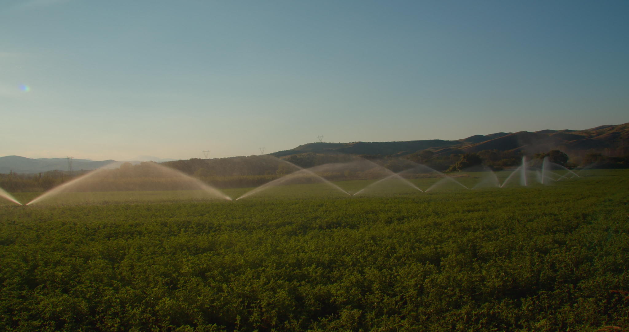 绿地有农业灌溉系统排成一排的喷水器视频的预览图