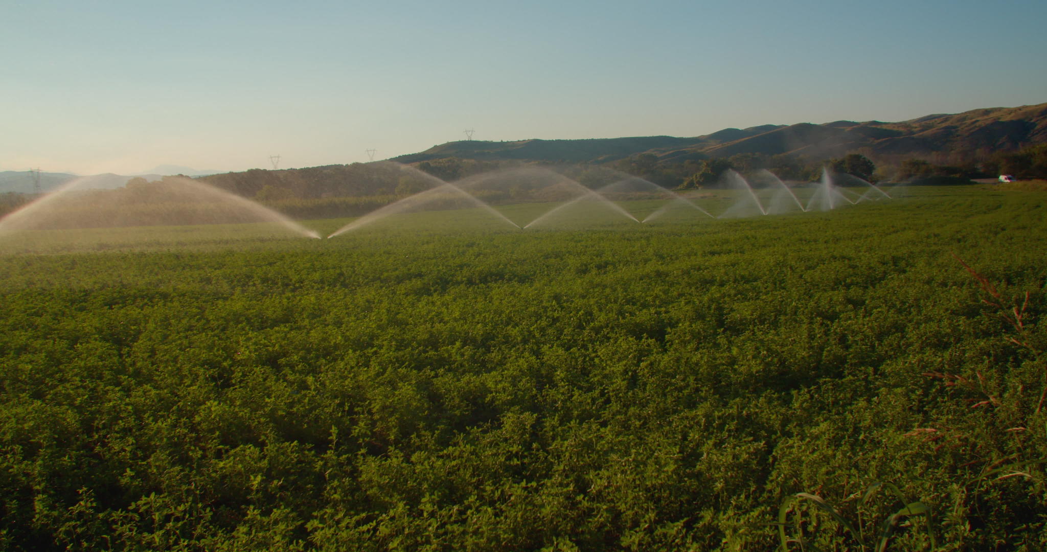 绿地有农业灌溉系统排成一排的喷水器视频的预览图