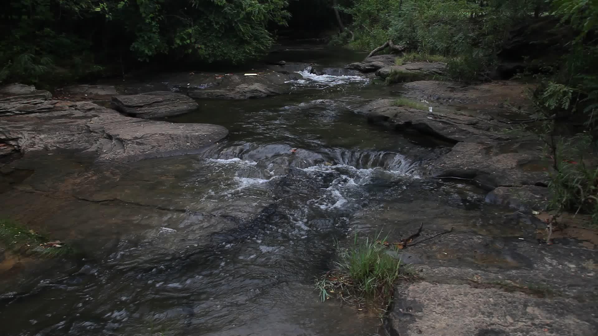 在石溪公园的小溪中流水视频的预览图