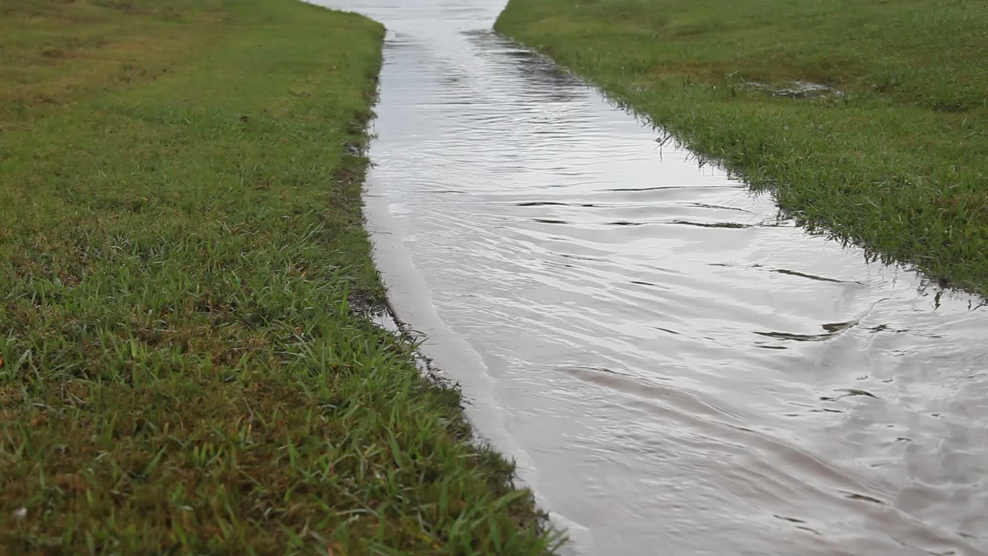 雨后雨水流动视频的预览图