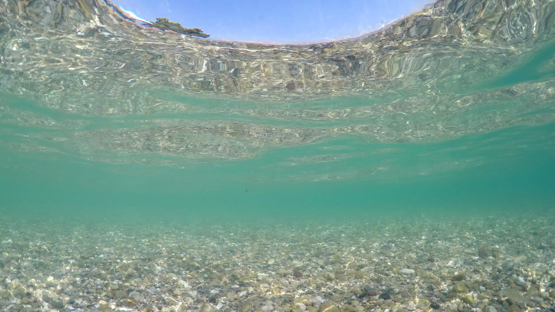 在浅水中游泳的鱼用石头和小石头地板反射在水面上视频的预览图