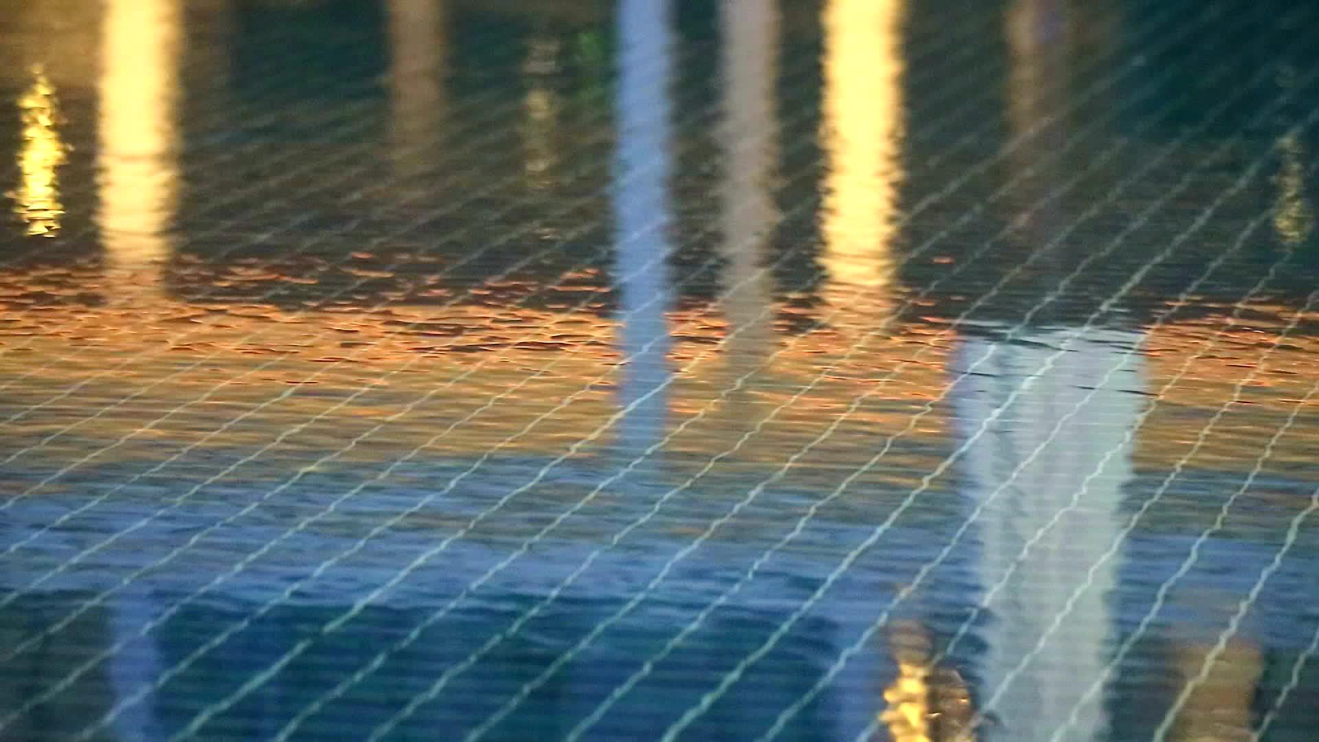 雨水落在游泳池的水面上反射着光线视频的预览图