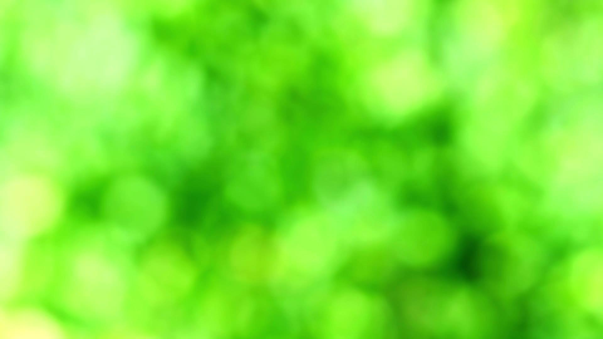 黄色、绿色、抽象的绿色抽象在花园花草树上涂上了五颜六色的叶子视频的预览图