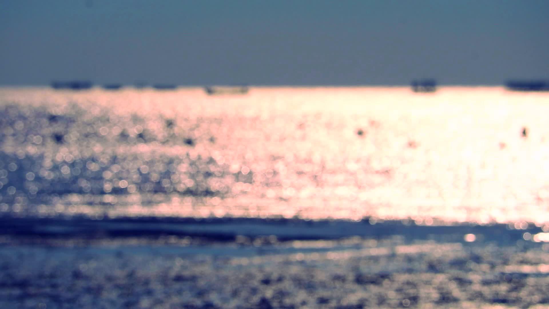 海和鸟在海上飞翔太阳照耀着模糊的反射光视频的预览图