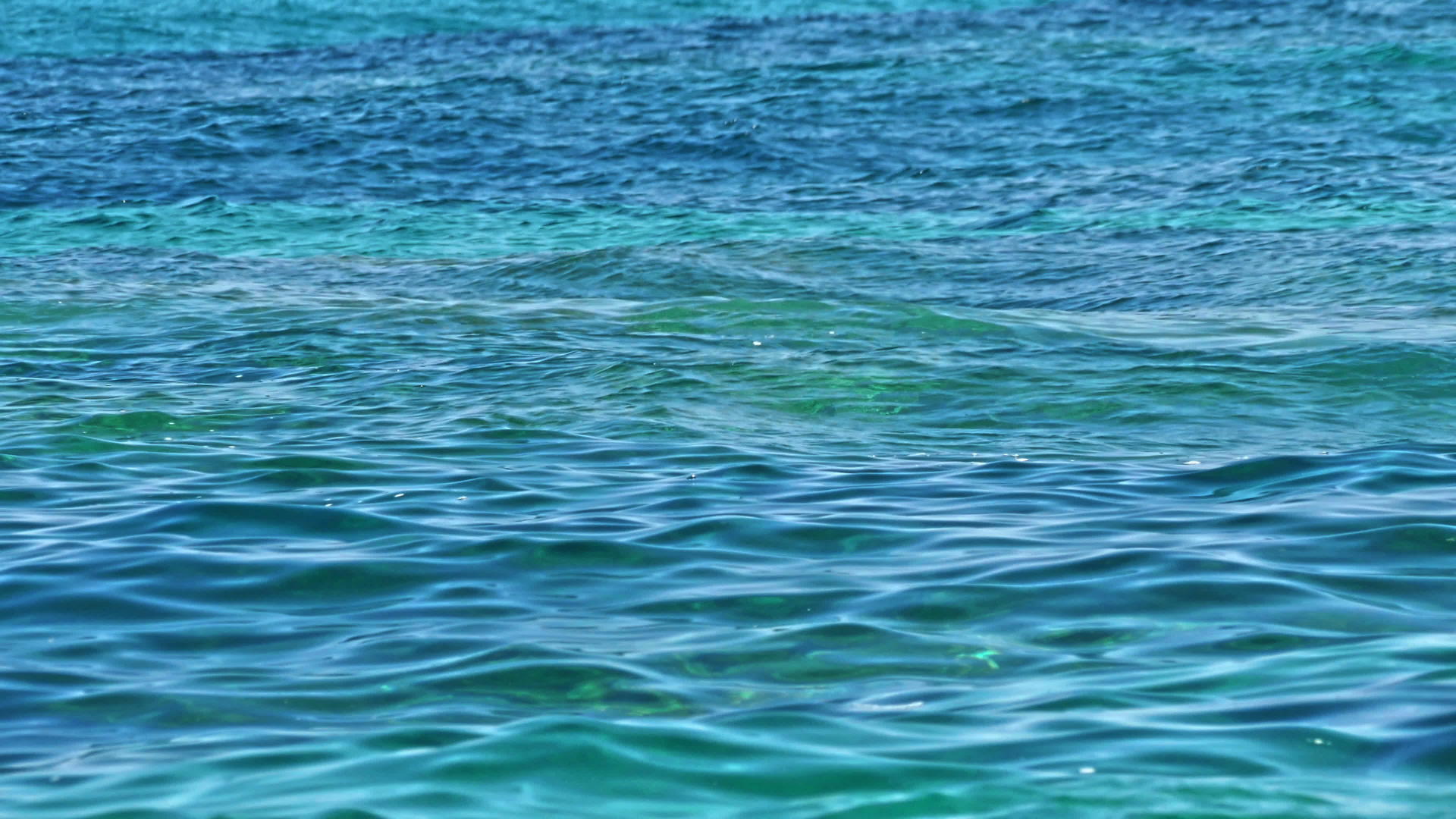 深蓝深海自然地平线视频的预览图