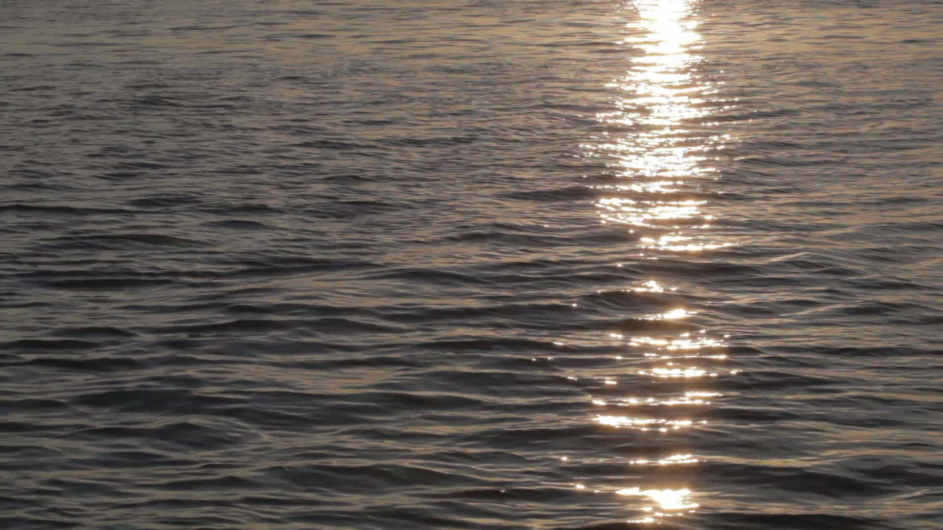 水有太阳反射视频的预览图