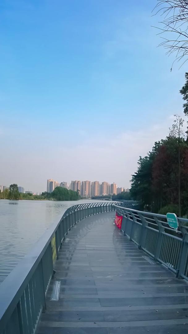 现代城市风景江河桥散步视频的预览图