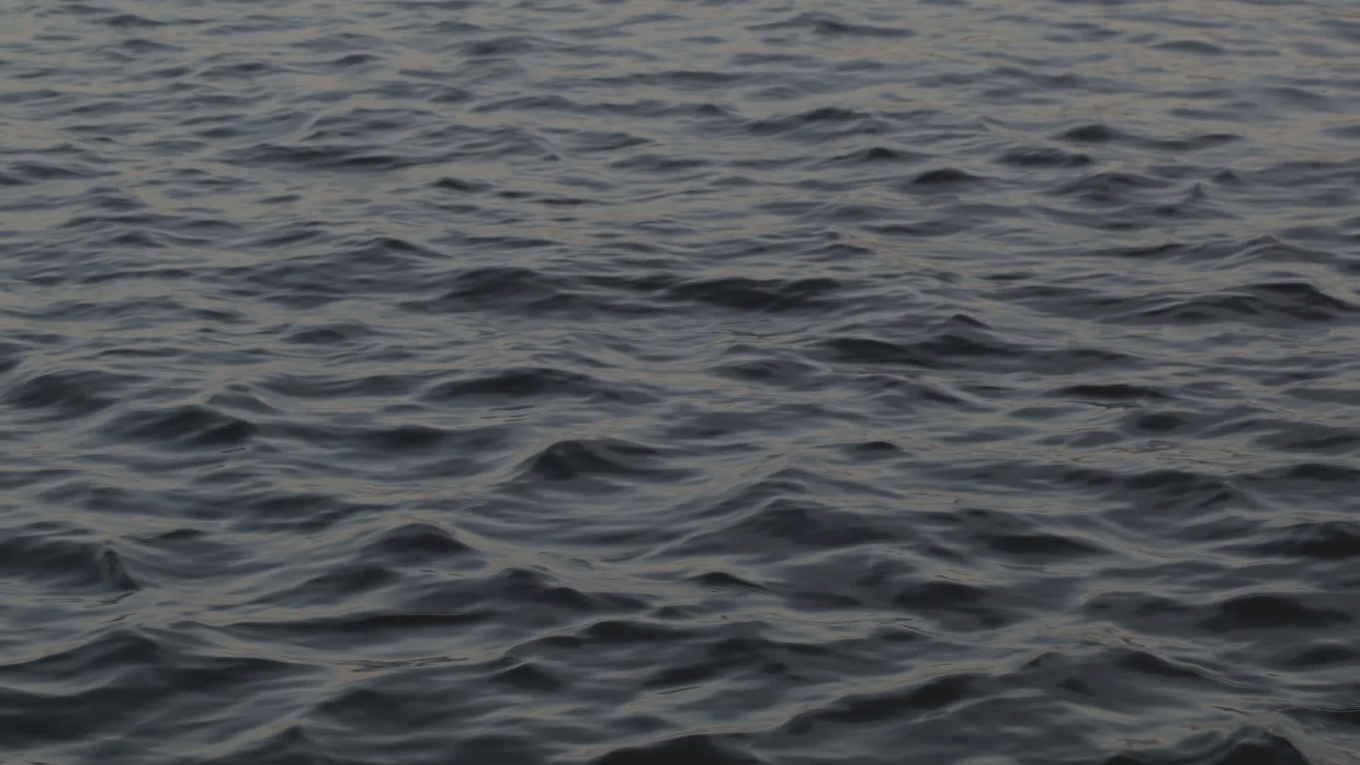 平静水面视频的预览图
