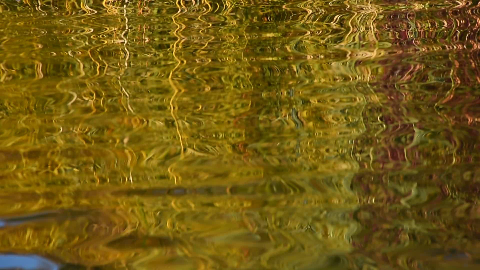 对水表面的Zigzag效应视频的预览图