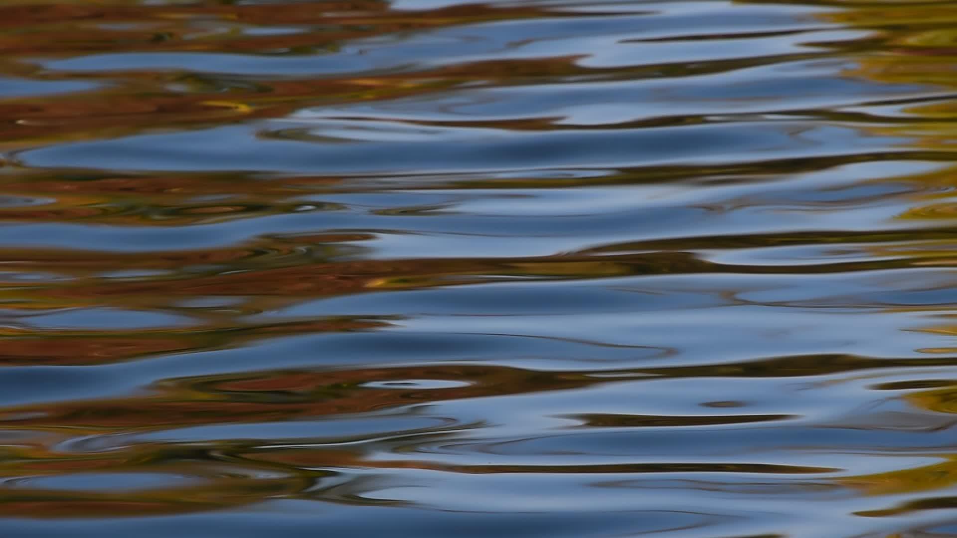 在水面上运行的彩色波纹视频的预览图