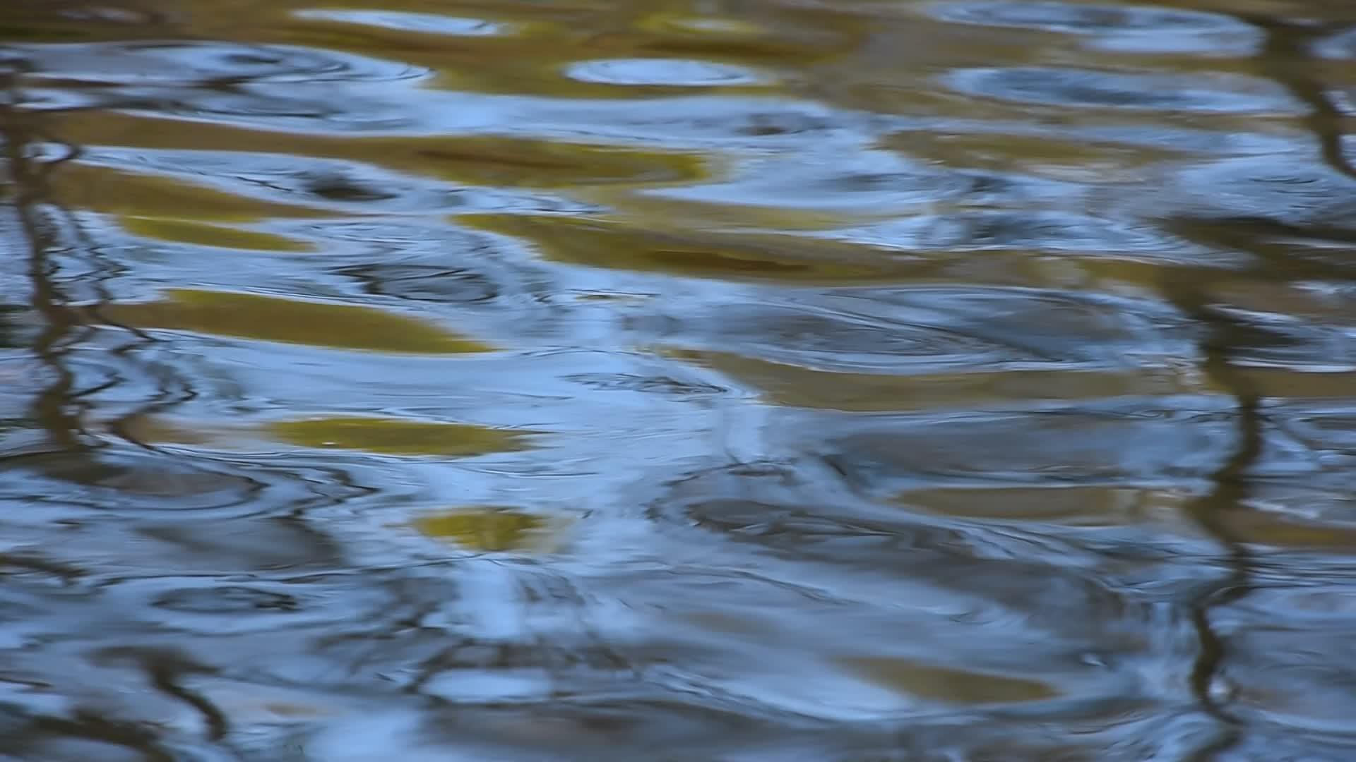 在水面上运行的彩色波纹视频的预览图