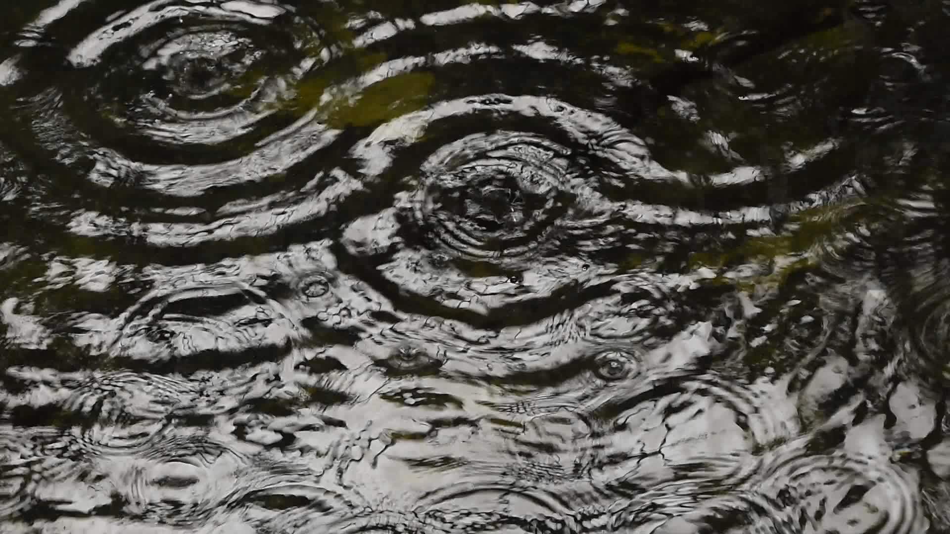 落在水中波纹紧闭视频的预览图
