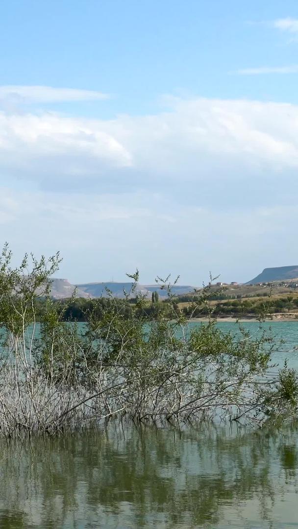 延时天空白云树叶在土耳其卡帕多奇亚湖泊摇摆收集视频的预览图