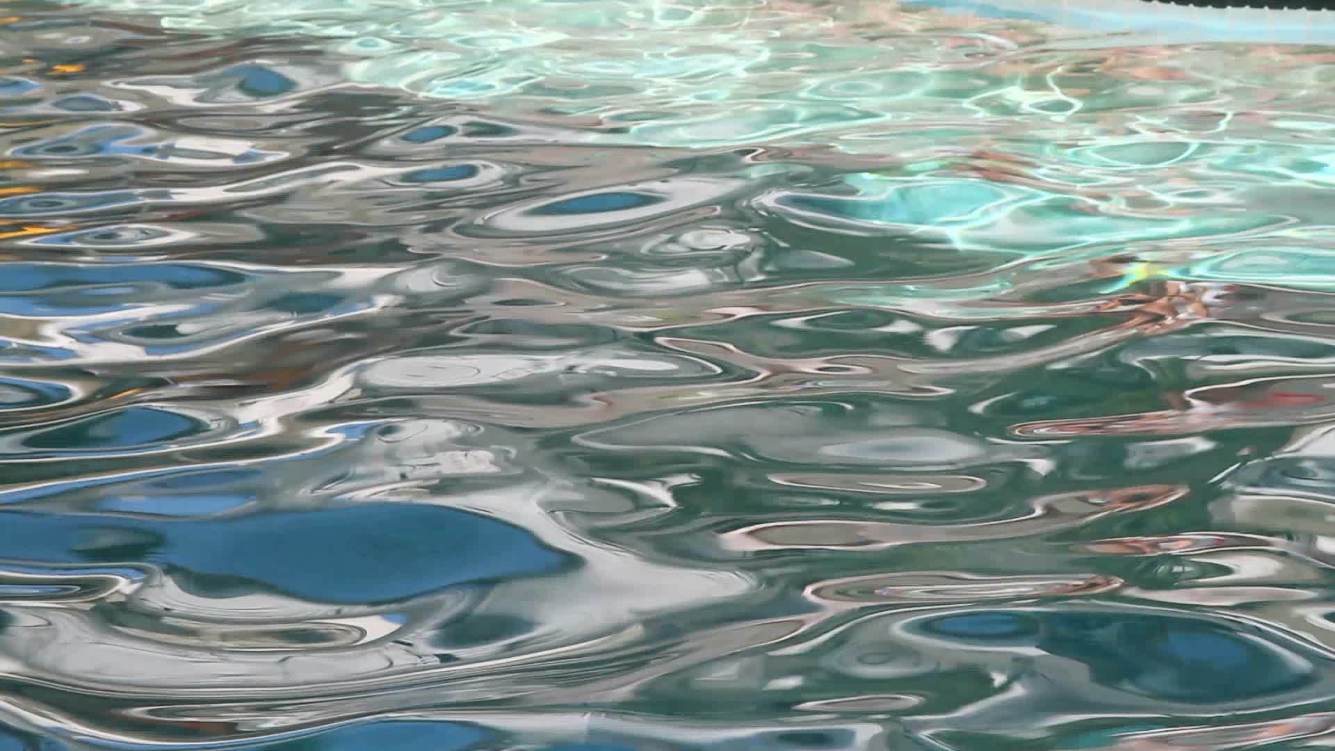 池冲水视频的预览图