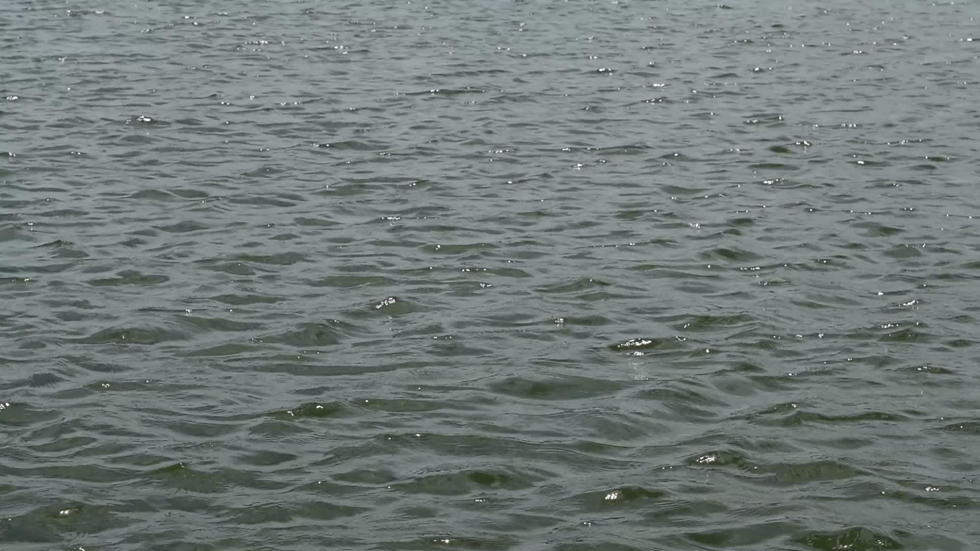 湖边的水浪视频的预览图