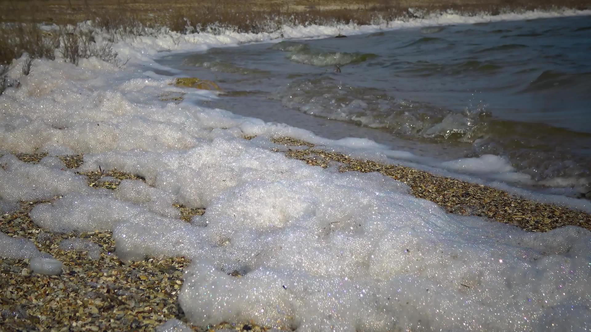由于污水、天然水、营养化、湖泊生态等原因湖岸泡沫泡沫视频的预览图