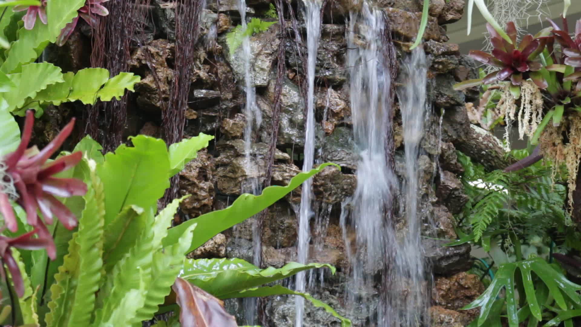 瀑布装饰在公园里视频的预览图