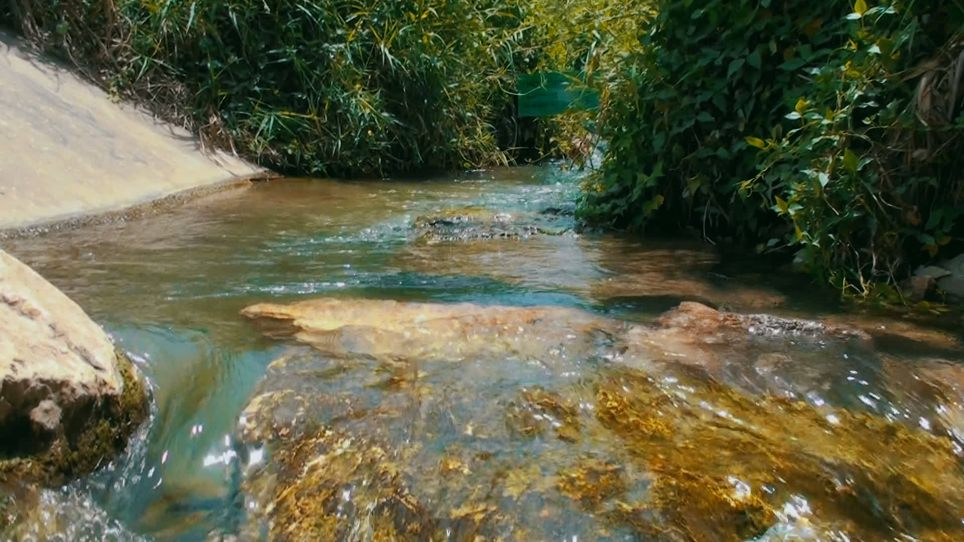 国家公园的自然流动视频的预览图