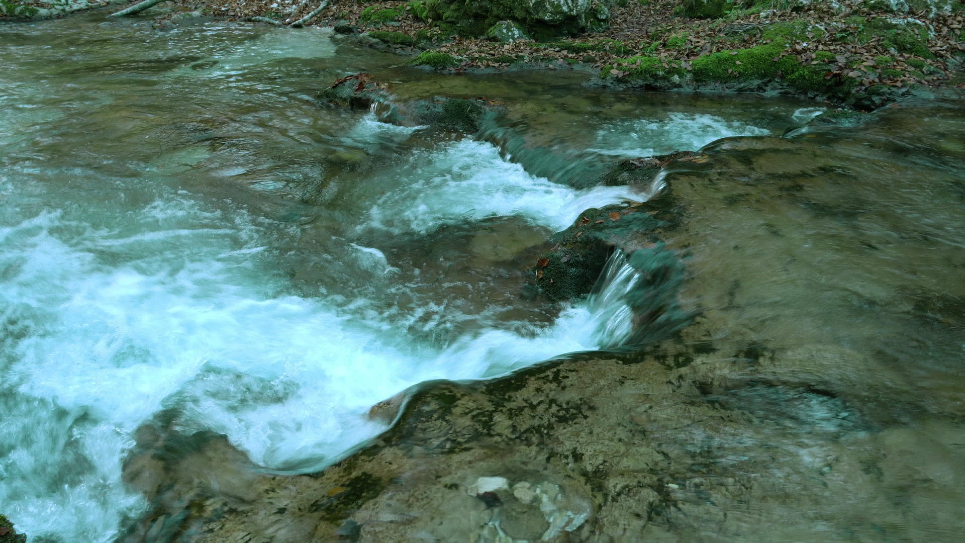 小溪在木材中视频的预览图