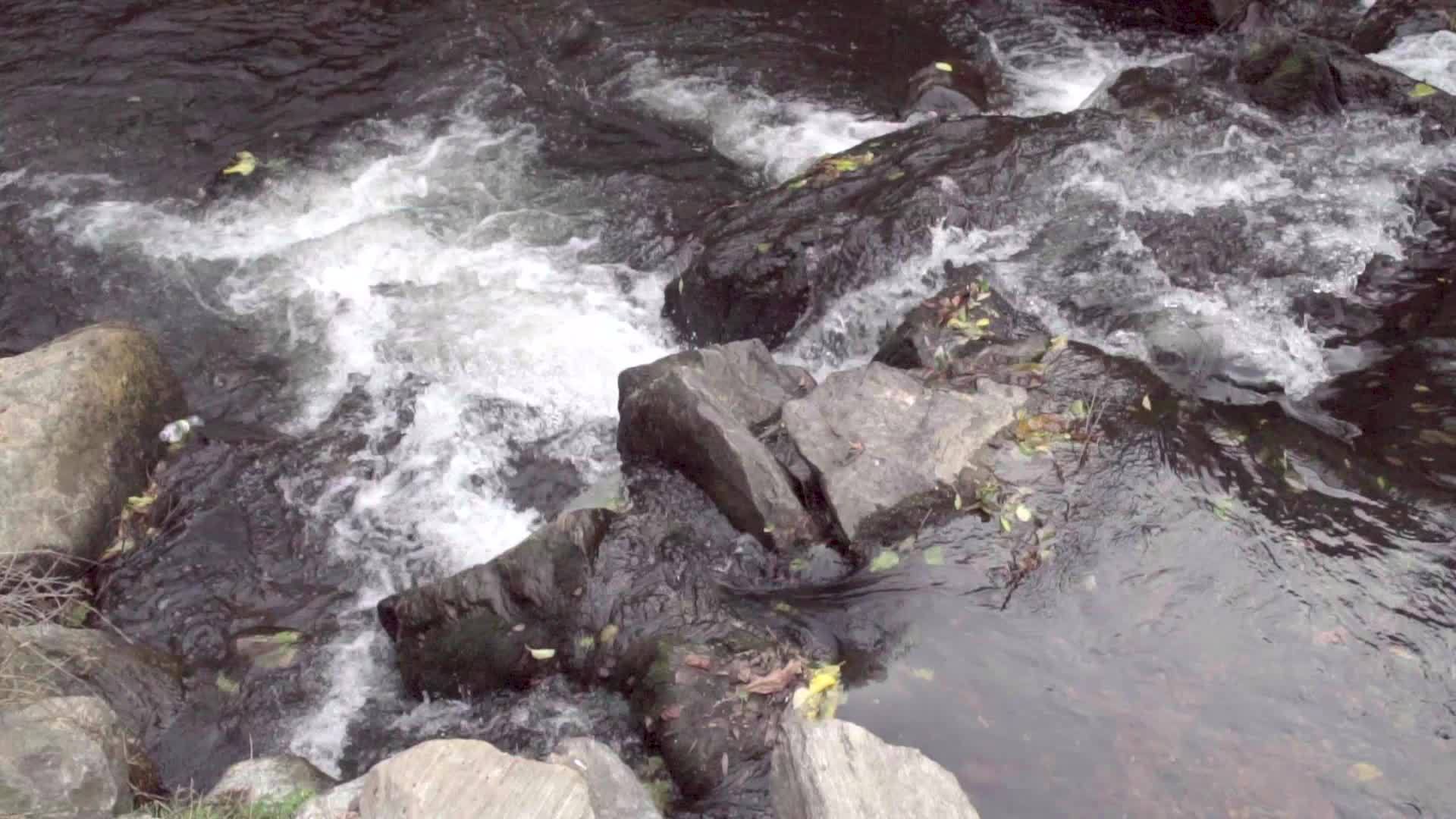 关闭野生山川瀑布和丰富的清澈溪流详细拍摄气泡视频的预览图