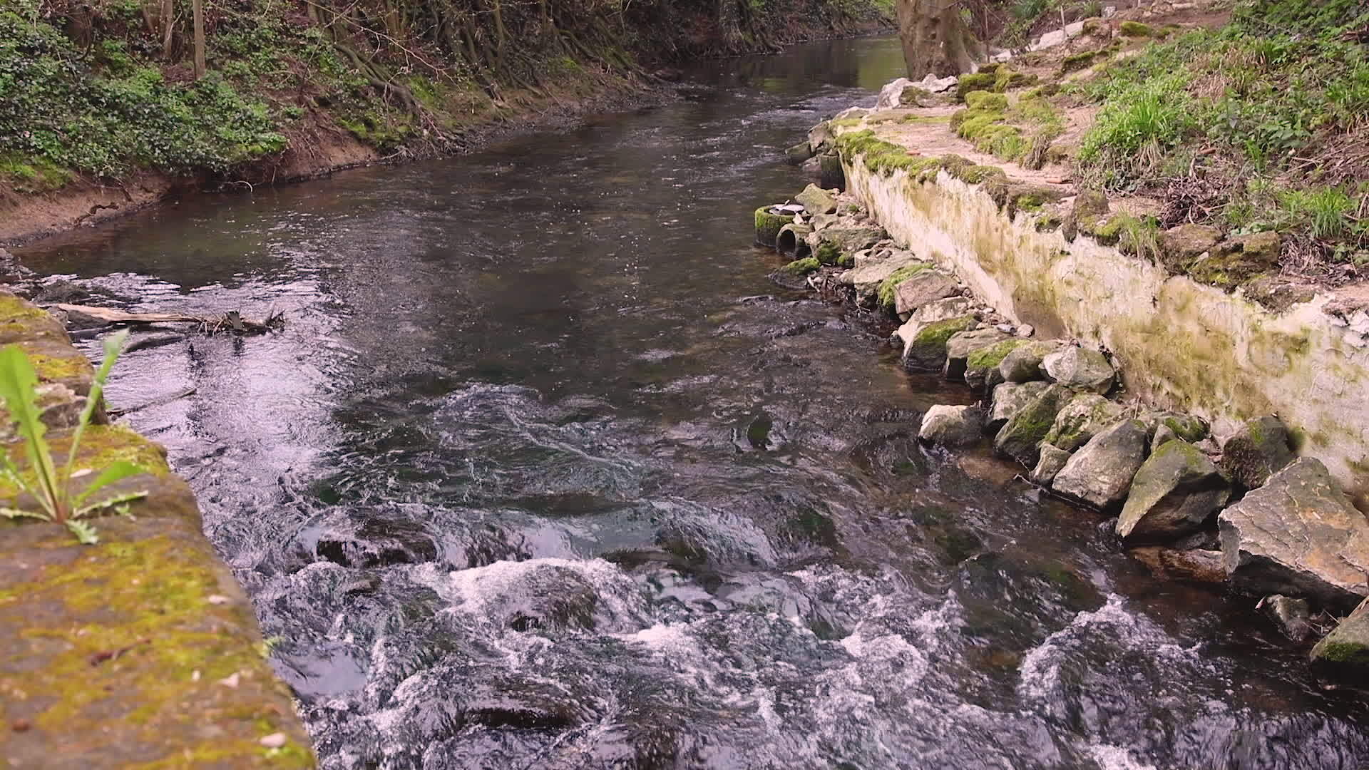 水流底部的石头和距离弯曲视频的预览图