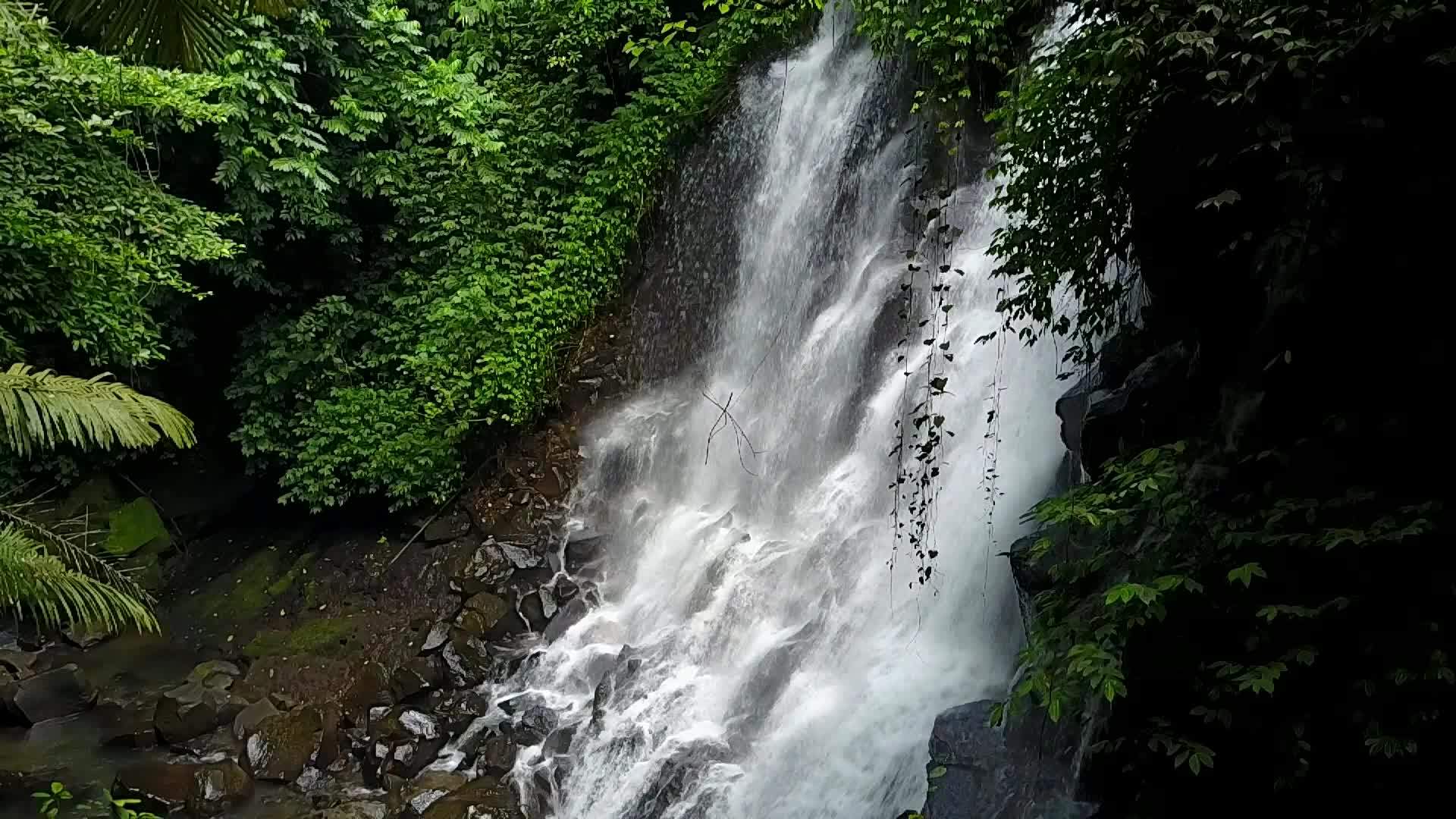 巴利岛的一个小瀑布视频的预览图