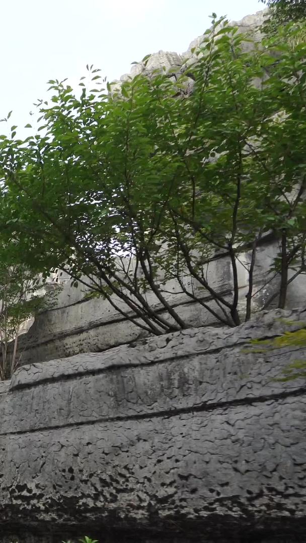 万盛石林龙鳞石海天鹅岭5a景区视频的预览图