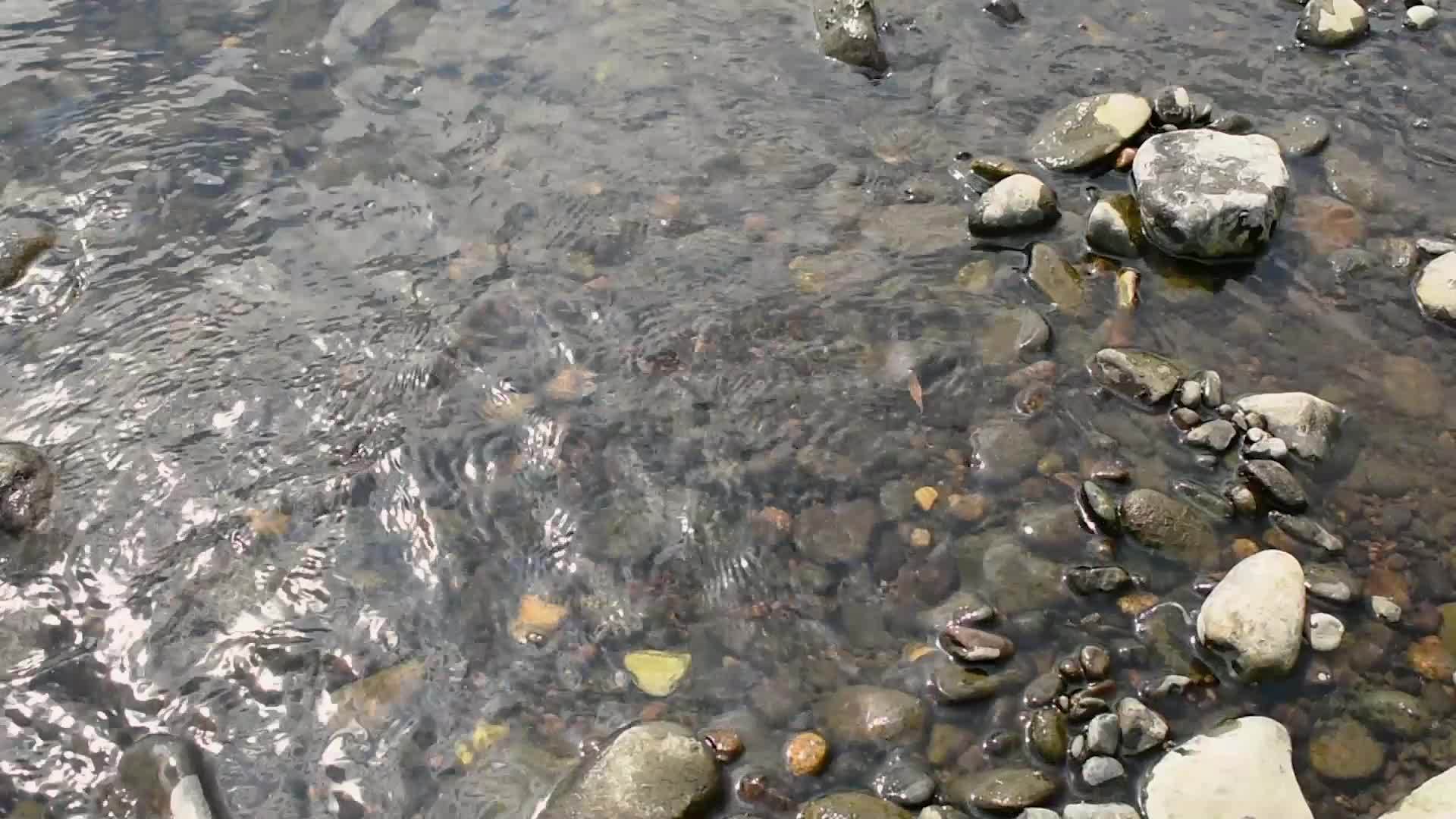 卵石和岸边的小浪水视频的预览图