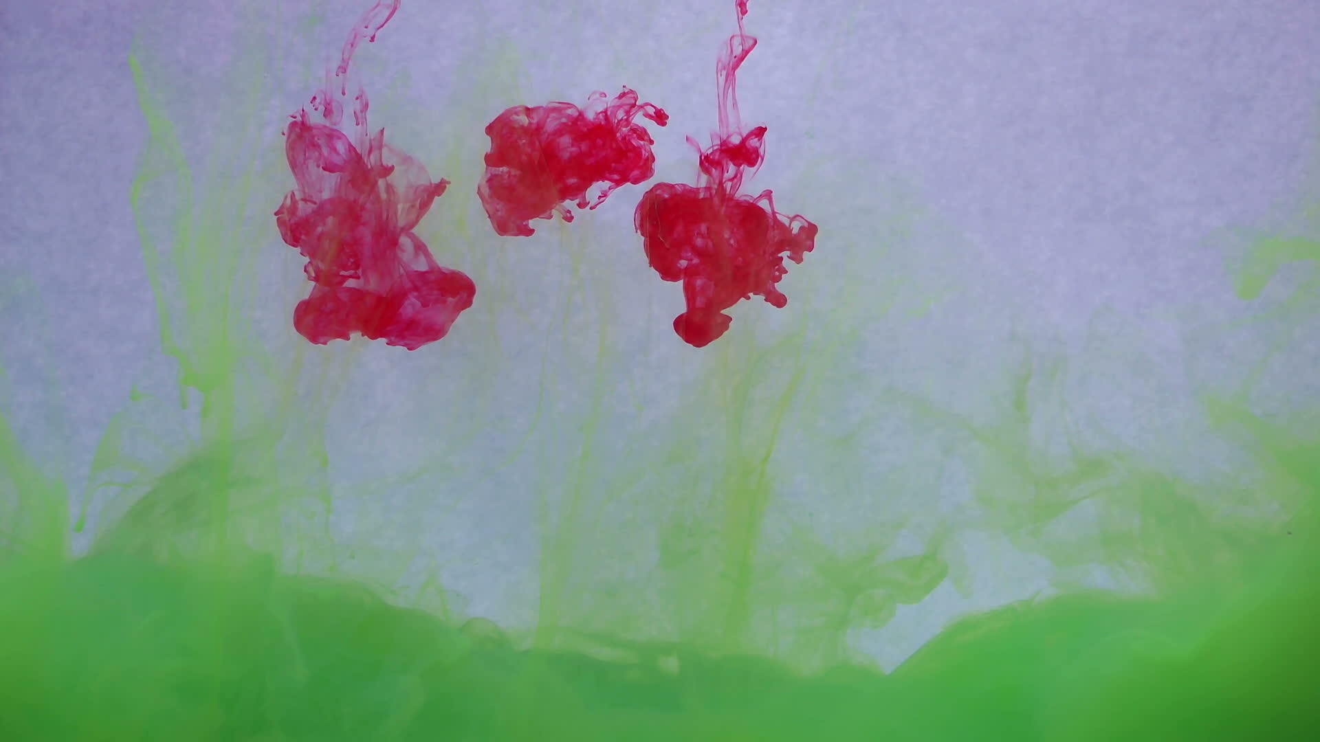 水中的红色和绿色墨水在白色背景上创造性地缓慢移动视频的预览图