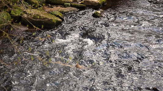 水流经岩石海岸的溪流视频的预览图