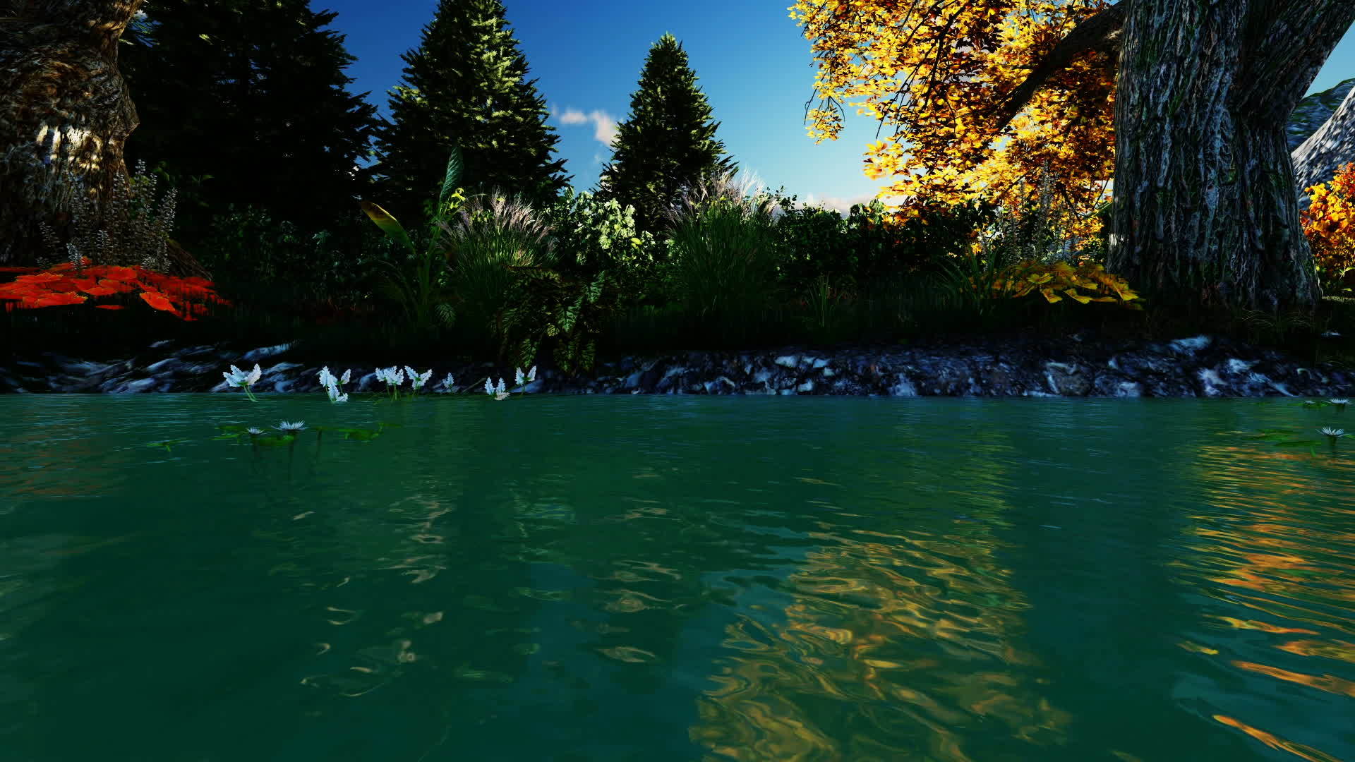 河中美丽的树苗视频的预览图
