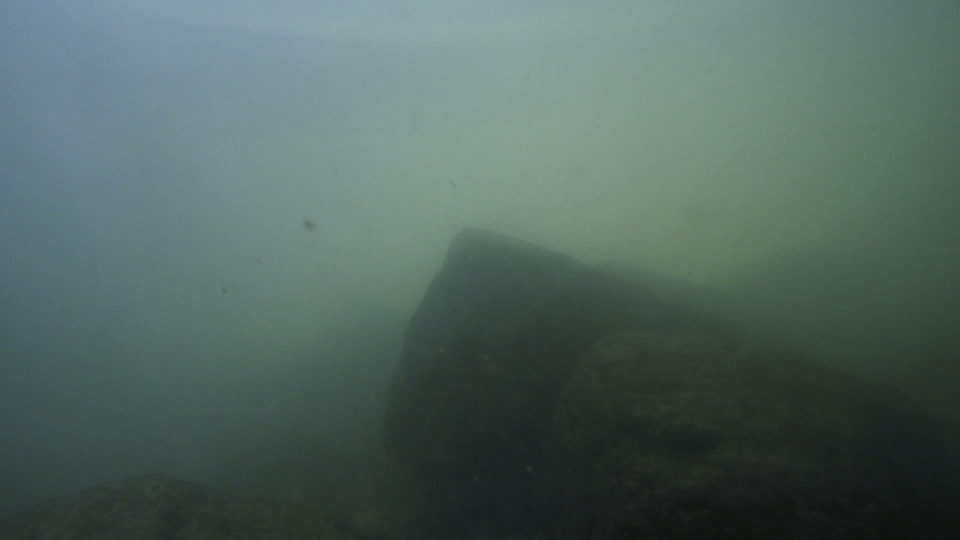 水下河流表面有颗粒和岩石视频的预览图