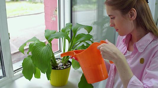 照顾植物的年轻女士视频的预览图