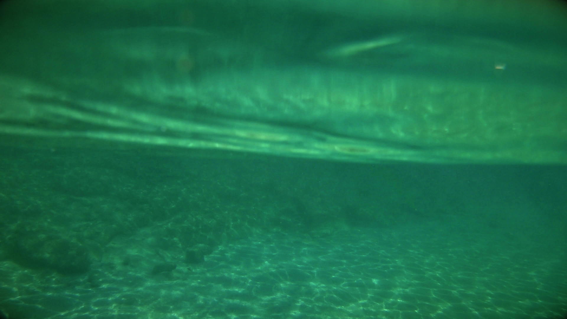 水下游泳腿4公里视频的预览图