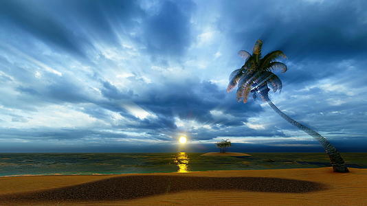 海滩上有一棵椰枣树天空中有奇妙的天空视频的预览图