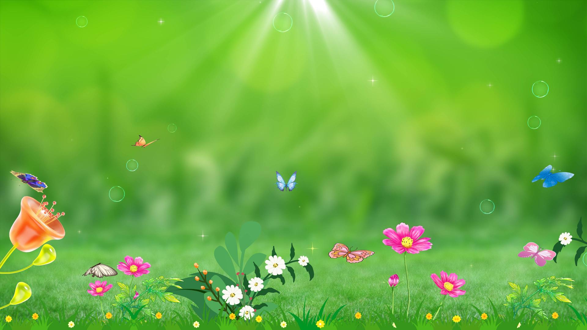 漫画美丽的蝴蝶草原花朵立春春分春分背景视频的预览图