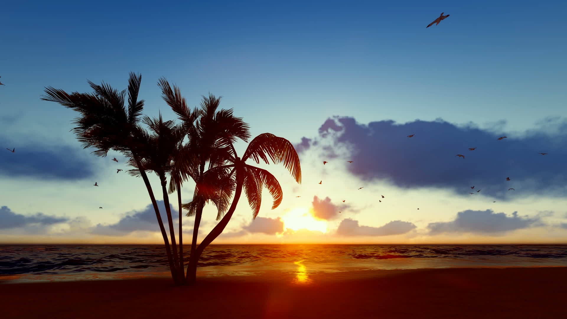 热带棕榈树海滩日出视频的预览图