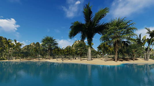 美丽的岛屿有棕榈树和平静的水视频的预览图