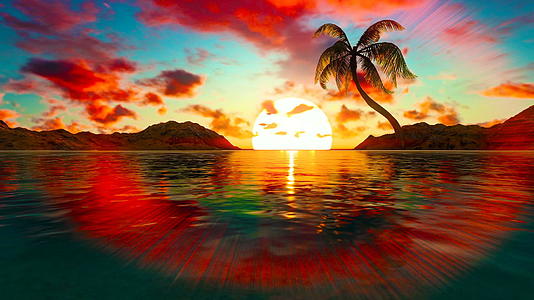 日落时棕榈树靠近海洋视频的预览图