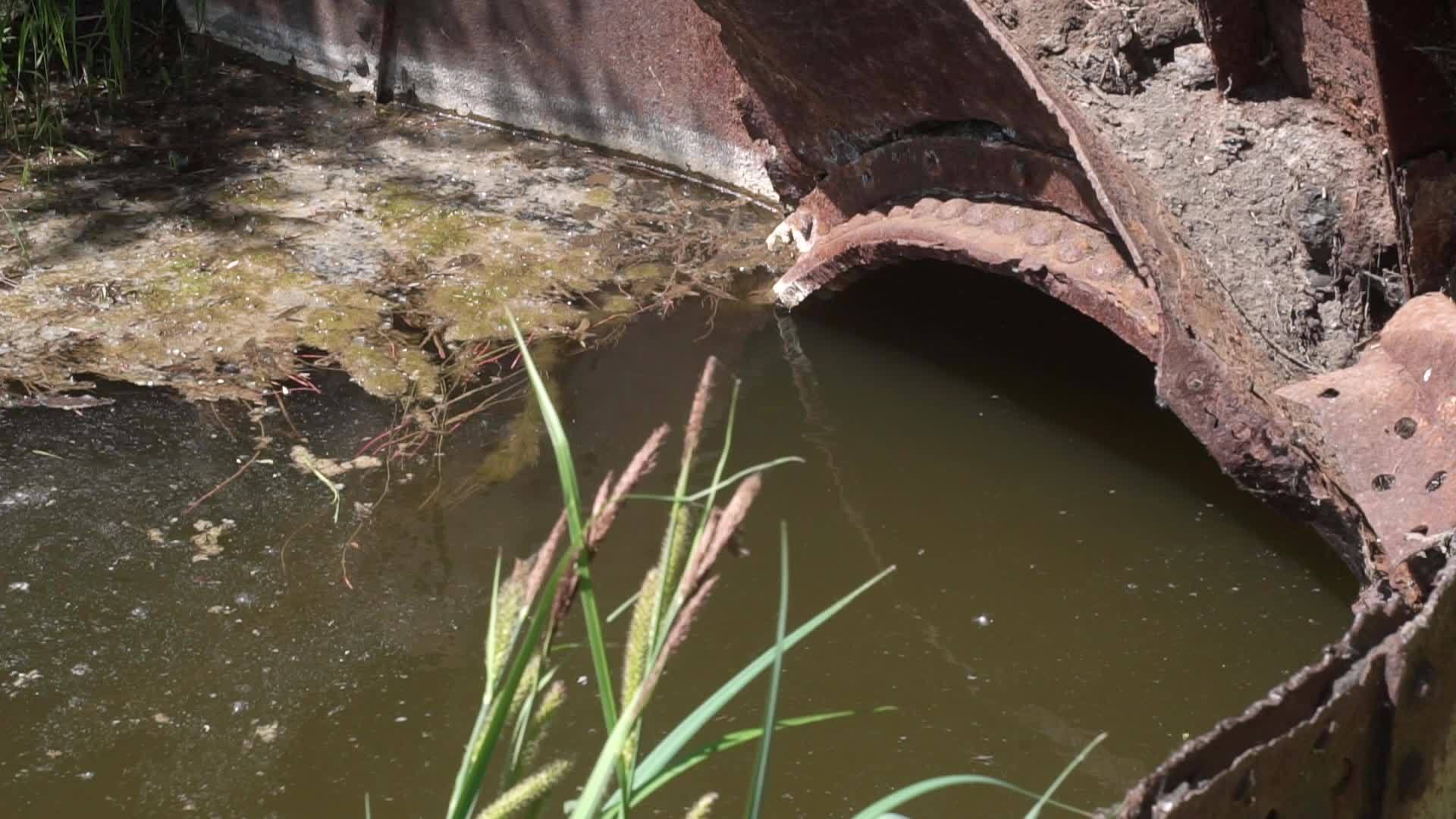 污染物排入水中的情况视频的预览图