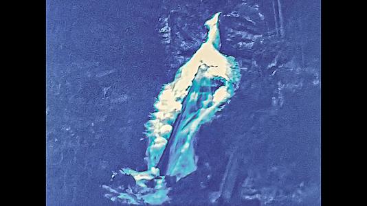 1974年多洛米特人在意大利的瀑布上视频的预览图