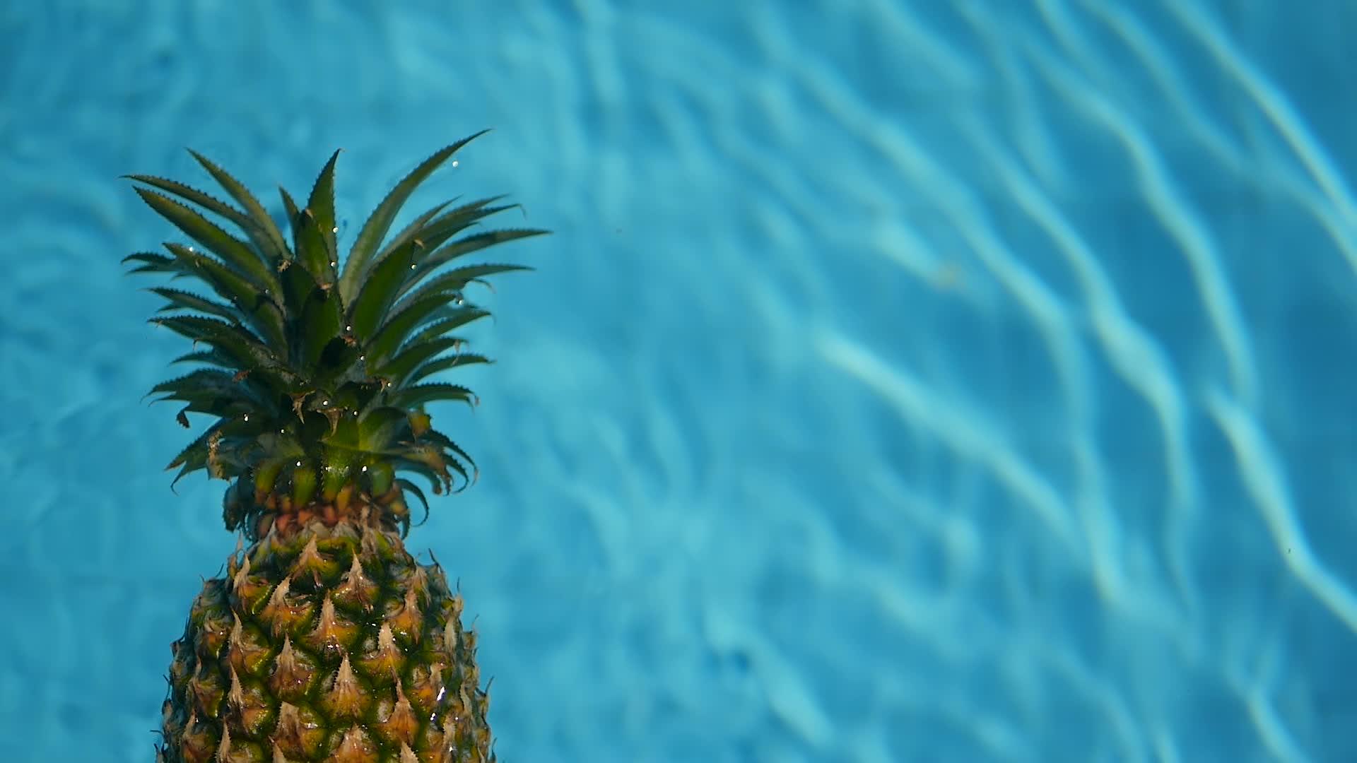 菠萝健康有机食品多汁水果漂浮在游泳池的蓝色水中视频的预览图
