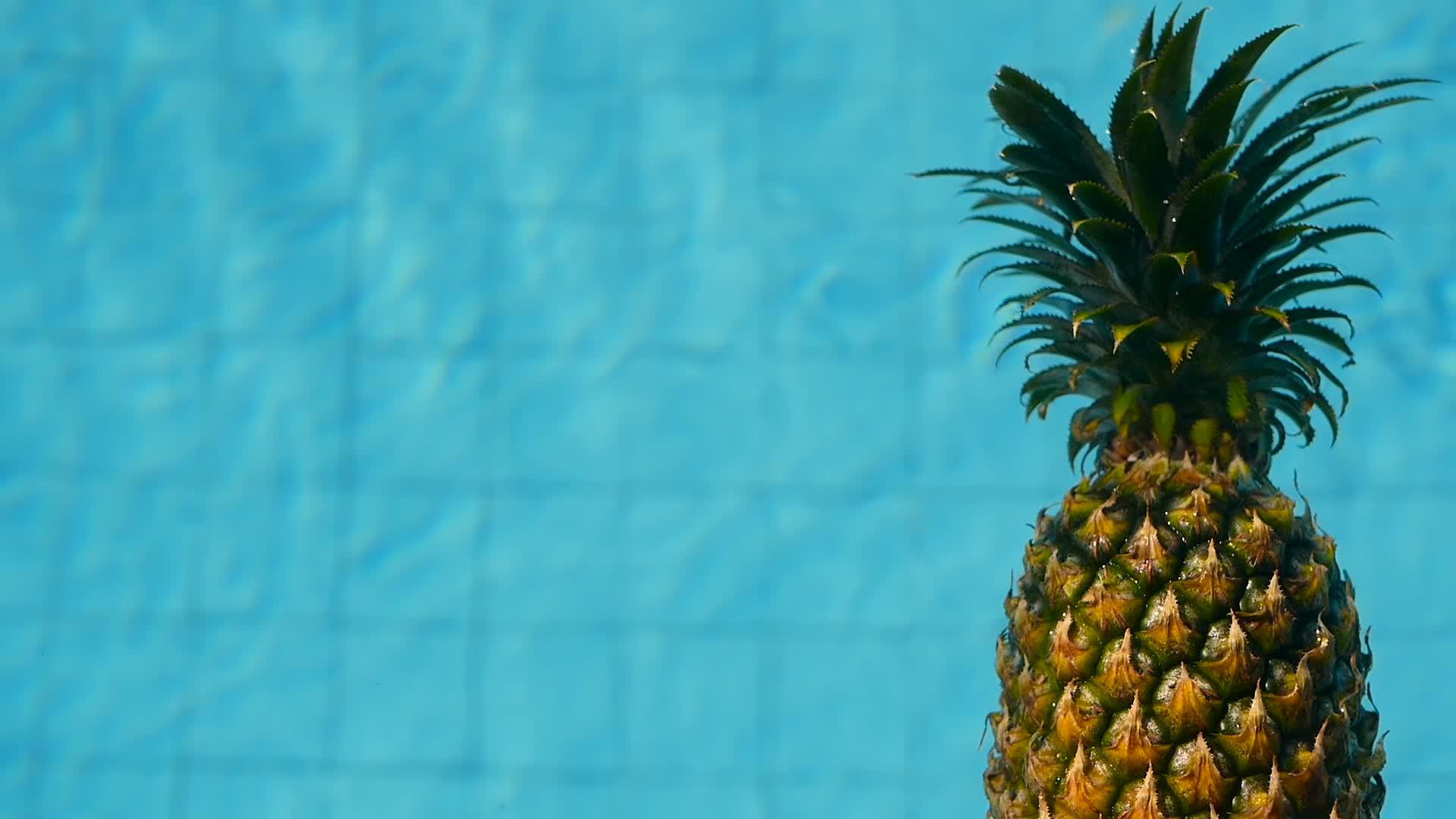 菠萝健康有机食品多汁水果漂浮在游泳池的蓝色水中视频的预览图