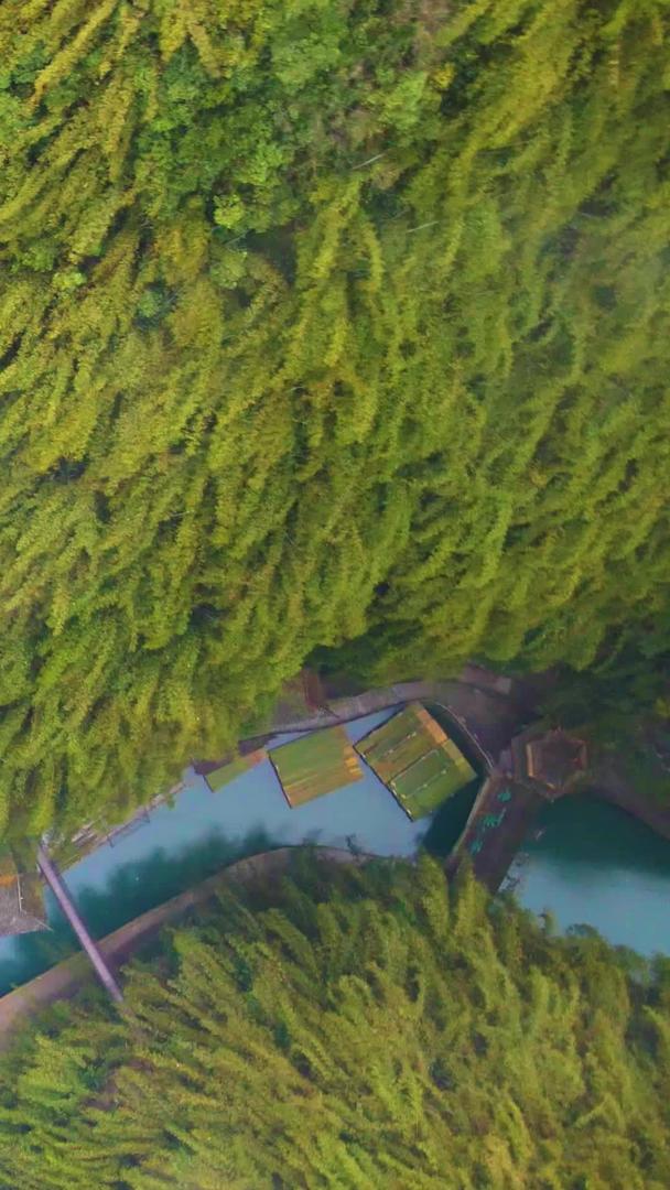 阿依河竹筏的航拍风景视频的预览图